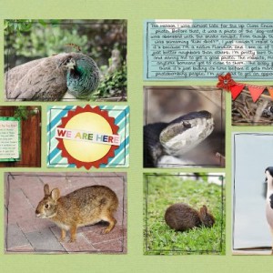 Native Floridians