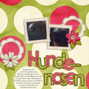 Dogs Noses