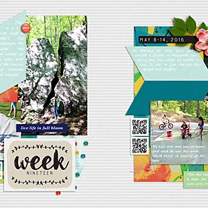 2016 Week 19