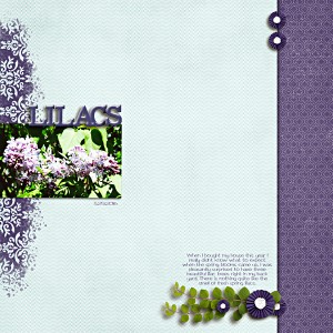 Lilacs