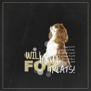 Dance For Treats