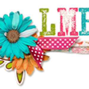 Lilypad Siggy