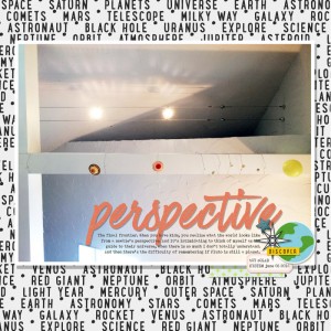 Perspective