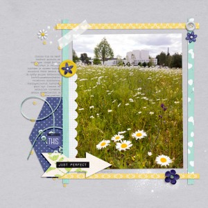 Daisies
