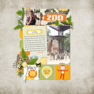 A Day at the Zoo