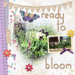 Ready To Bloom