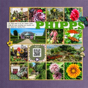Phipps - left side