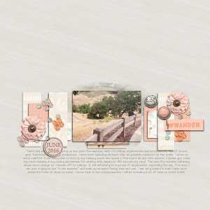Wander