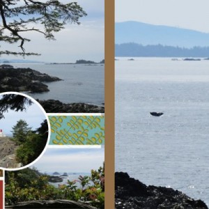 Breathtaking view on the Wild Pacific Trail