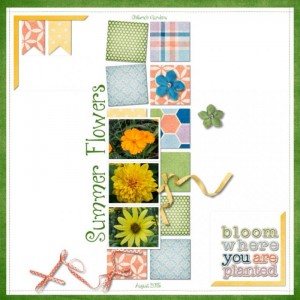 Summer Flowers