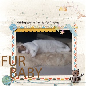 June_fur-to-fur-template-ch