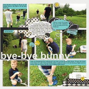 Bye Bye Bunny