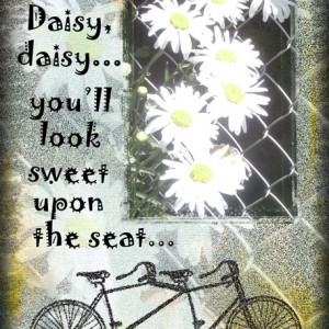 Daisy, daisy (Summer School Challenge Week 1)