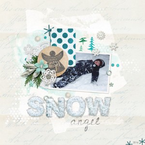 Snowangel_opt