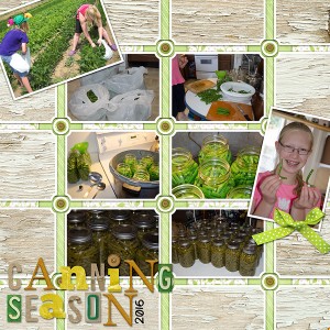 Canning Season