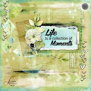 Life Is a Collection of Moments