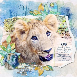 Cub