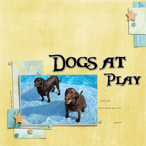 Dogs-at--PlaWeby