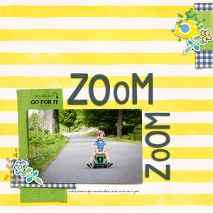 2016-6-23-carter-zoom-_600web