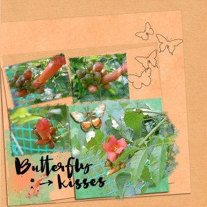Buttflybush2