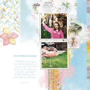 Flamingo casino
