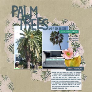 Palm Trees