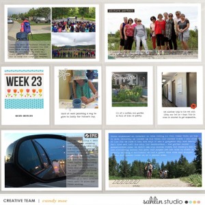 PL2016 - Week 23
