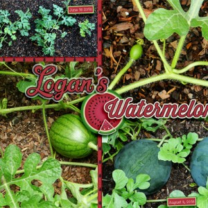 LogansWatermelon