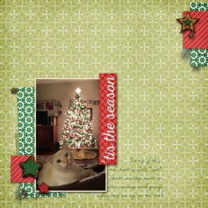 12.17.2014 Leo And The Tree