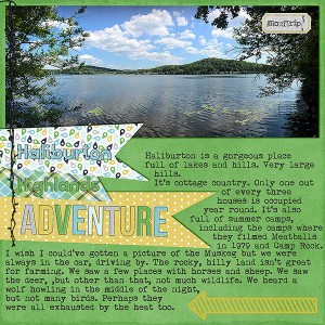 Vacation Journal