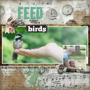 Feed The Birds