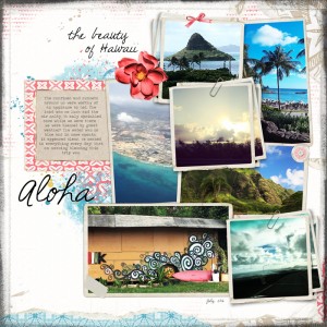 the Beauty of Hawaii