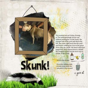 Skunk!
