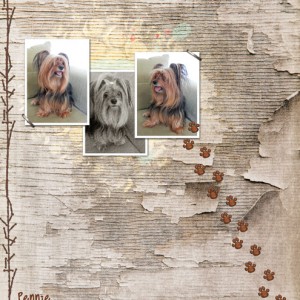 Pennie