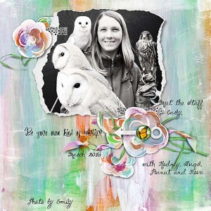 meet the staff