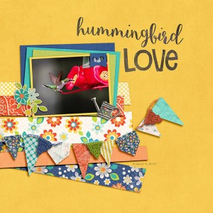 Hummingbird Love