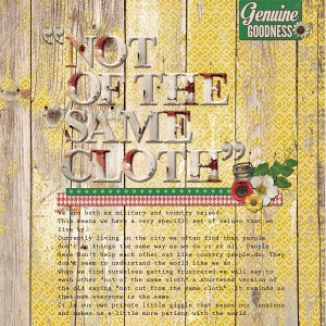Not-of-the-same-cloth