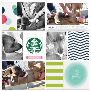 Pup Cups