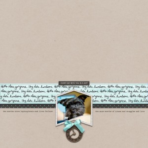 Every Day With You Is A Gift (Scraplift Challenge)