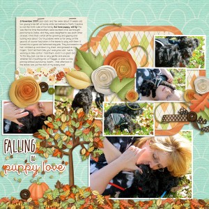 Falling in Puppy Love