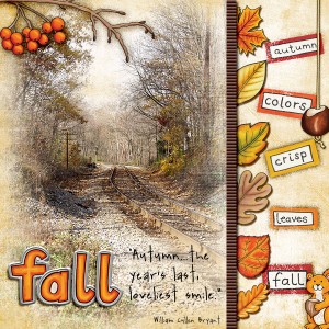 Fall Tree leaves
