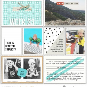 2016 week 33 - left side