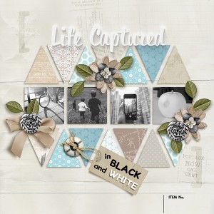 Life Captured