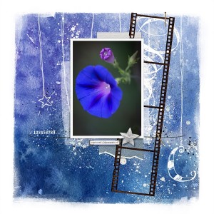 Morning Glory Light