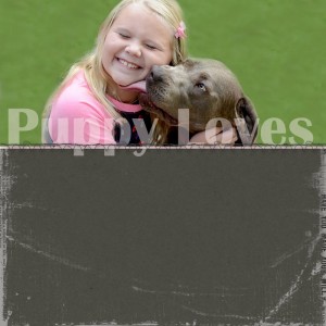 Puppy Loves
