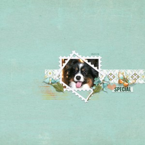 Special