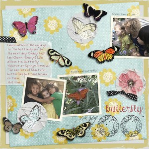 Butterfly Zoo