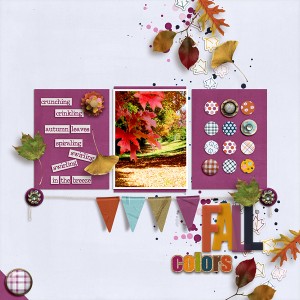 Fall  Colors