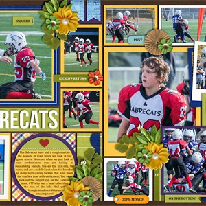 Sabrecats (Double Page)