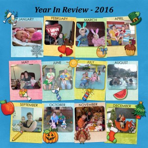 Year in Review - 2016